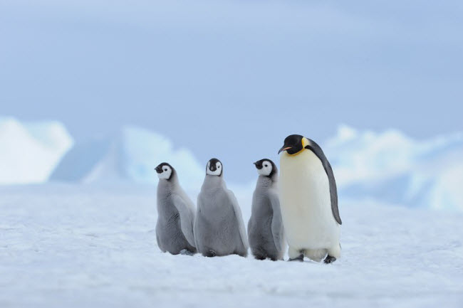 Những thiên đường mùa đông đích thực trên Trái đất