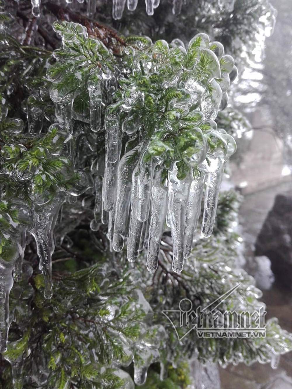 Mẫu Sơn âm 0,5 độ C, băng tuyết phủ kín ô tô