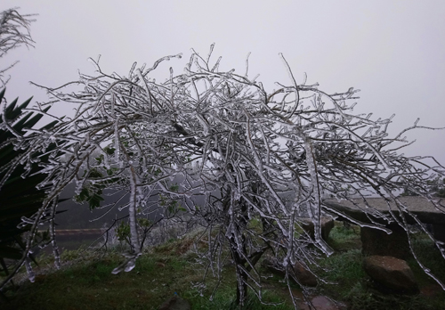 Mẫu Sơn tràn ngập băng giá