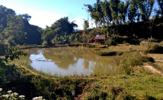 Chồng chém vợ nhiều nhát vào cổ tử vong