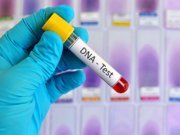 Mua quà là bộ kiểm tra ADN cho cả nhà, con phát hiện sự thật sốc