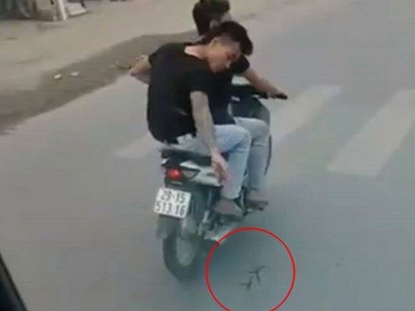 Công an triệu tập hai thanh niên rải đinh trước xe tải