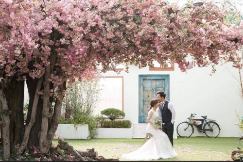 Đinh Tiến Đạt khoe ảnh cưới bên cô dâu 9x