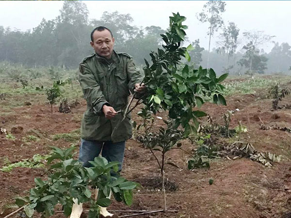 Trang trại cam bị đốt phá lúc đêm tối