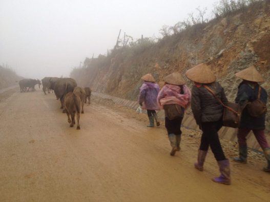 Cận cảnh: Người vùng cao Sơn La co ro trong giá rét khủng khiếp