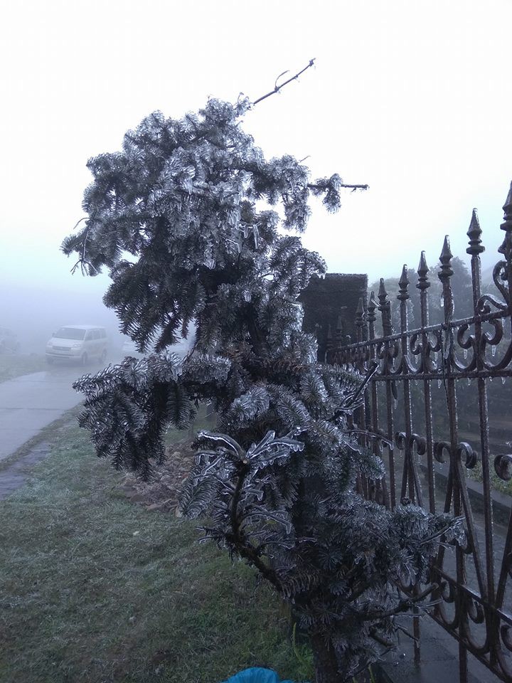 Băng tuyết phủ trắng nhà cửa, xe cộ ở đỉnh Mẫu Sơn