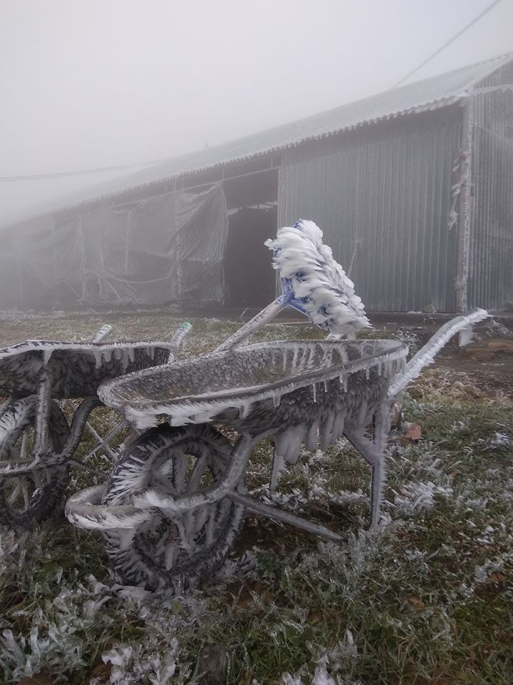 Băng tuyết phủ trắng nhà cửa, xe cộ ở đỉnh Mẫu Sơn