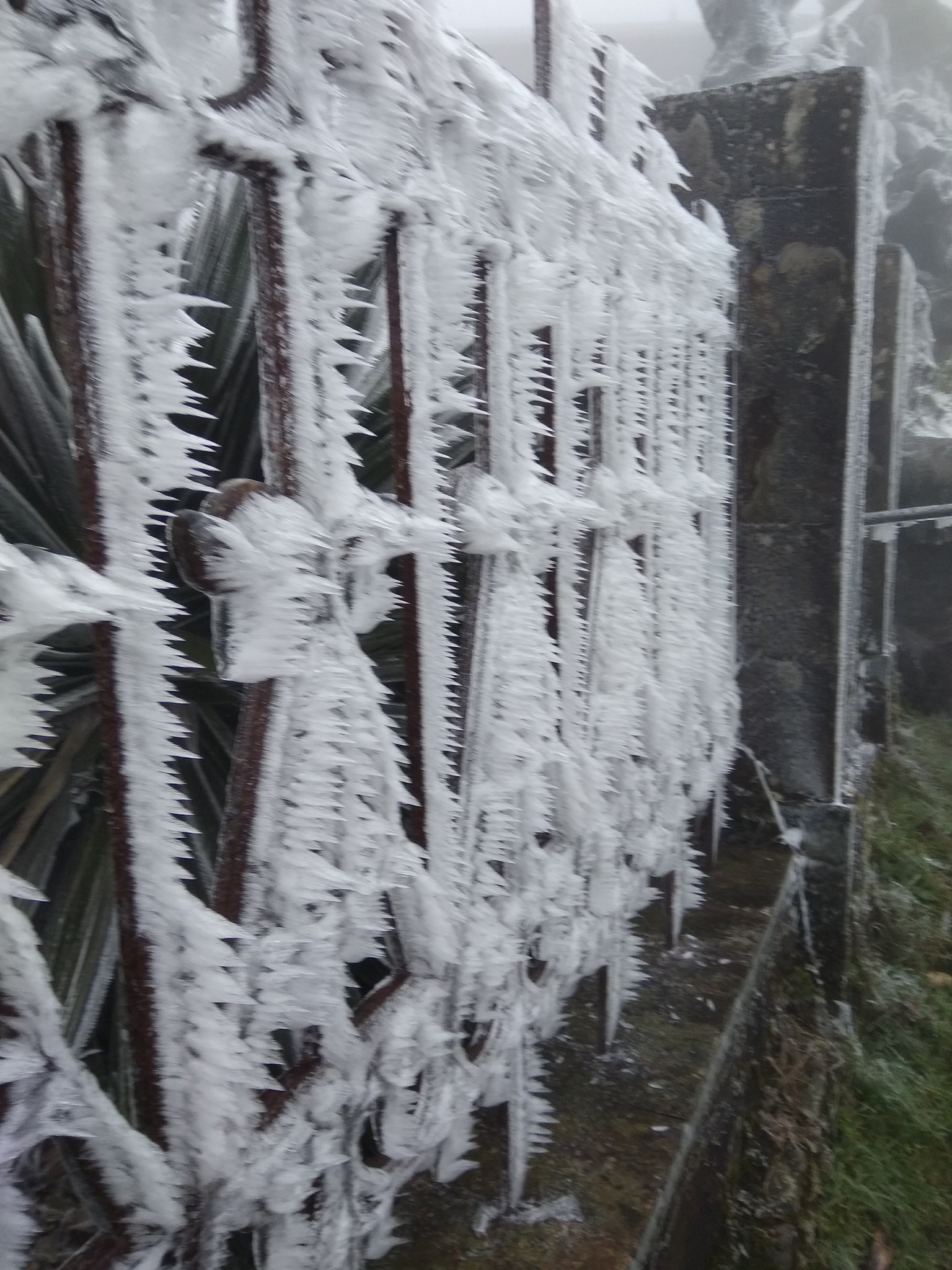 Núi Mẫu Sơn xuống âm 0,6 độ C, tiếp tục có băng giá diện rộng