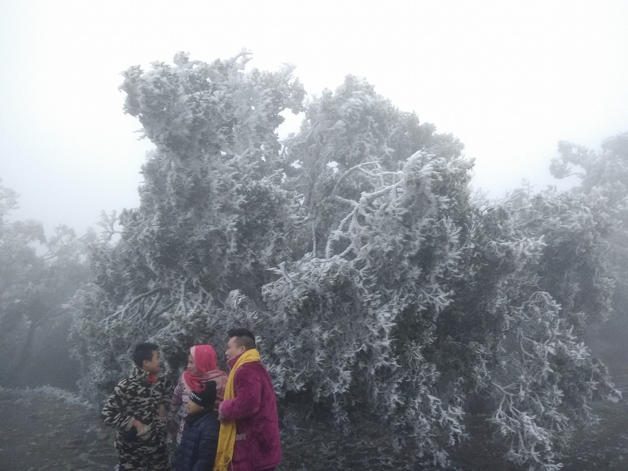 Núi Mẫu Sơn xuống âm 0,6 độ C, tiếp tục có băng giá diện rộng