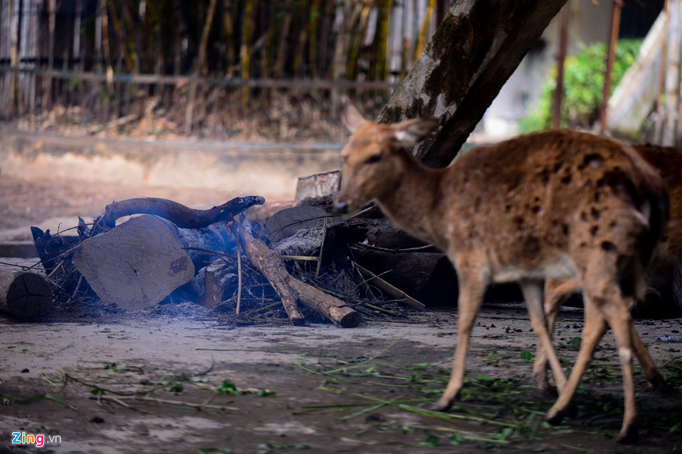 Muôn kiểu chống rét của người dân Hà Nội