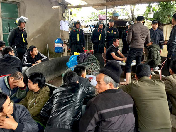 Cảnh sát bắt hàng chục người cá cược đá gà tại quán cà phê