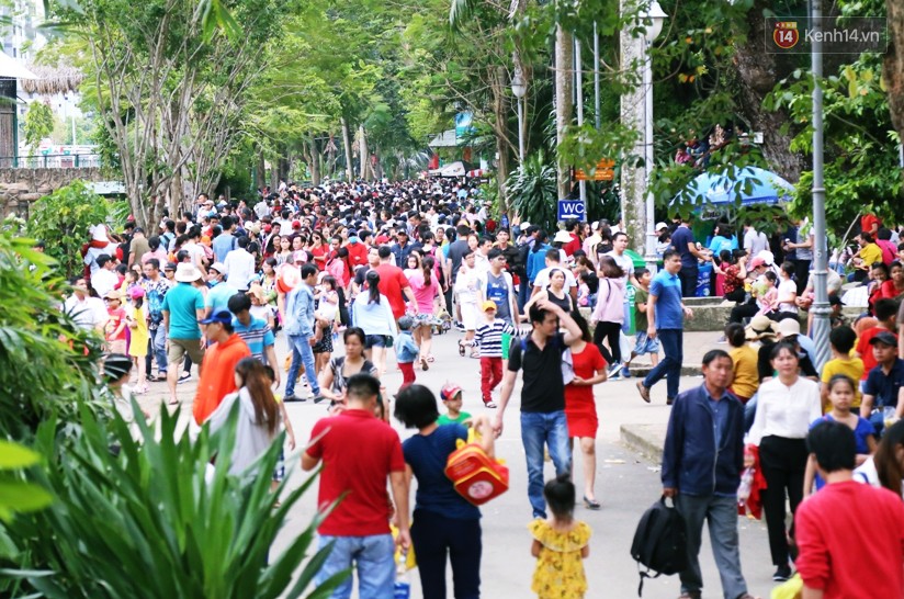 Khu vui chơi ở Sài Gòn nghẹt thở ngày đầu năm mới 2019, người dân chen nhau để có chỗ nghỉ ngơi