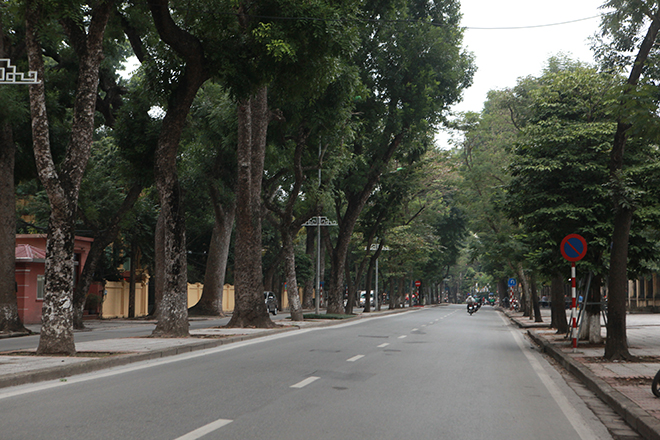 Phố phường Hà Nội vắng lặng, đẹp lạ trong cái rét đầu năm