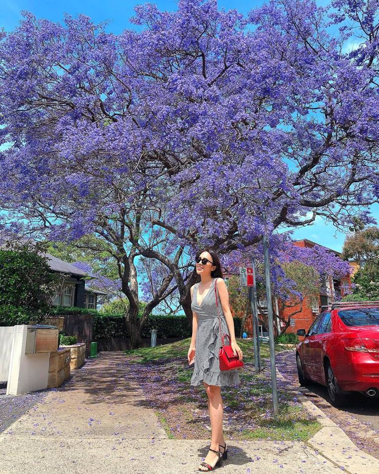 9X Việt nói được 6 thứ tiếng, làm giáo viên ở Australia