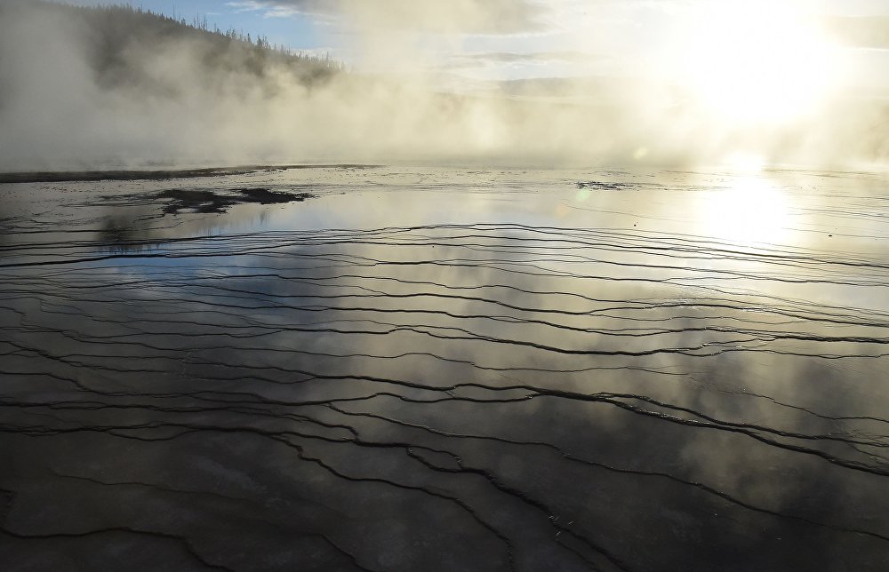 Tiên đoán khủng khiếp về năm 2019 của các nhà tiên tri