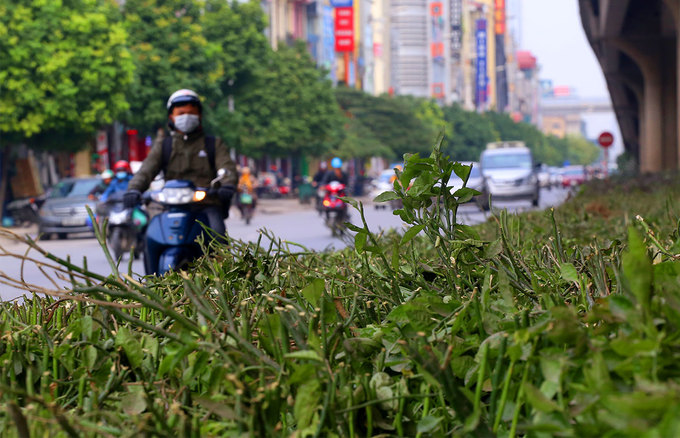 Video - Ảnh: Hà Nội xén 8 km dải phân cách vành đai 3 để chống ùn tắc