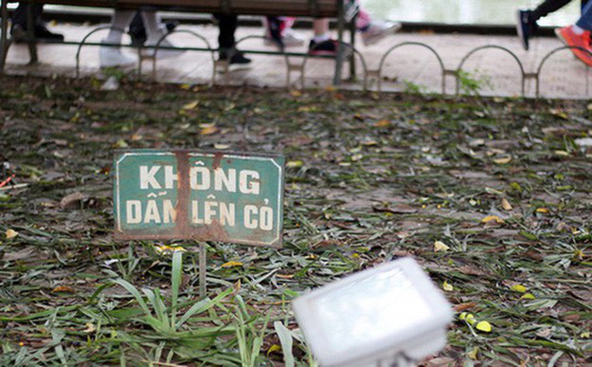 Vườn hoa Hồ Gươm bị san phẳng sau đêm Giao thừa: Thực sự, tôi quá xấu hổ!