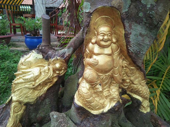 Thú chơi dát vàng lên thân cây sống: Không ai vì một chỉ vàng mà làm hỏng cây cả tỷ đồng