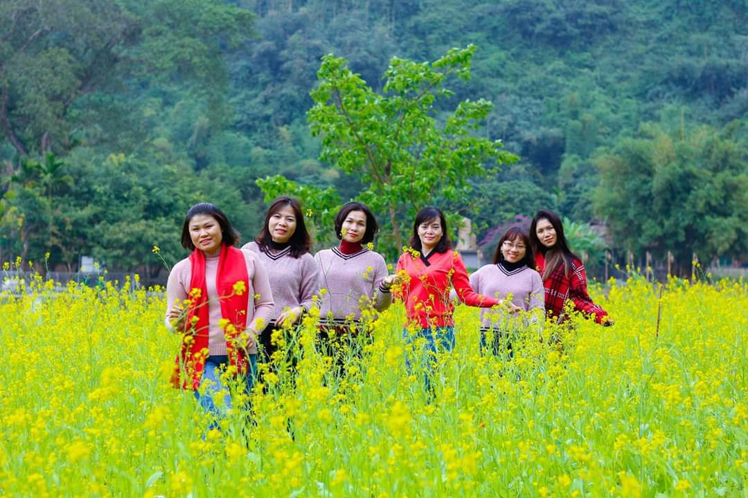 Video ảnh: Cánh đồng hoa cải vàng 10.000 m2 nở rộ ở Ninh Bình