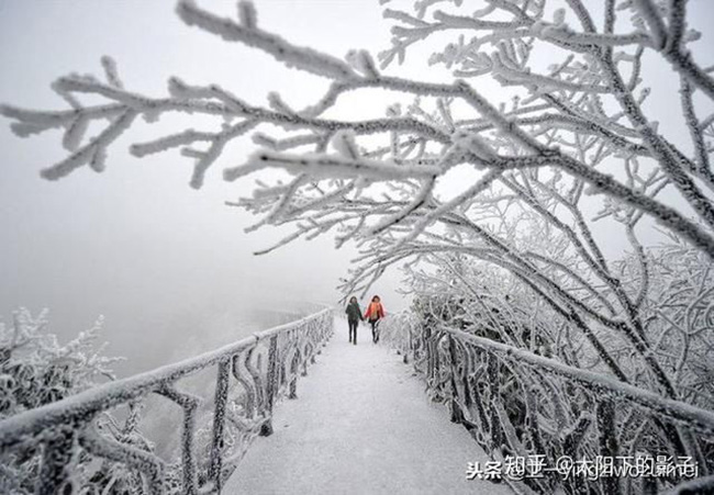 Du khách phấn khích trước cảnh tượng băng tuyết phủ trắng Trương Gia Giới