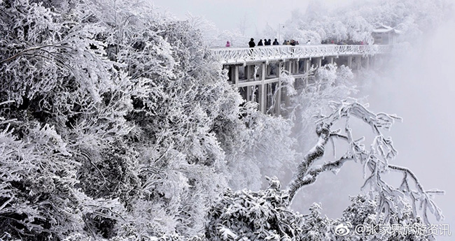Du khách phấn khích trước cảnh tượng băng tuyết phủ trắng Trương Gia Giới