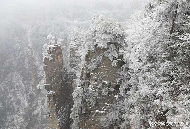 Du khách phấn khích trước cảnh tượng băng tuyết phủ trắng Trương Gia Giới
