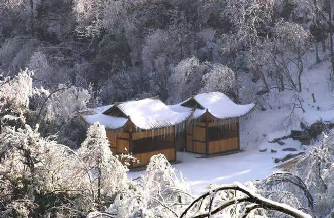 Du khách phấn khích trước cảnh tượng băng tuyết phủ trắng Trương Gia Giới