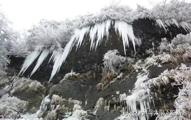 Du khách phấn khích trước cảnh tượng băng tuyết phủ trắng Trương Gia Giới