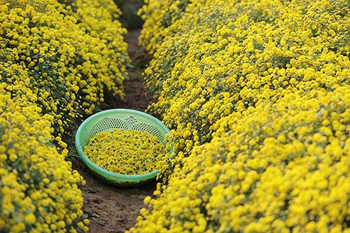 Miền Bắc tăng nhiệt, miền Trung giảm mưa