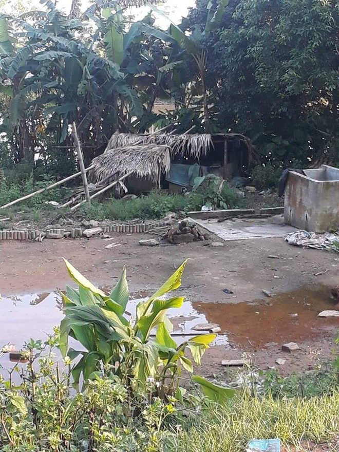 Xót xa hình ảnh cô gái tật nguyền sống trong chuồng lợn giữa những ngày giá rét