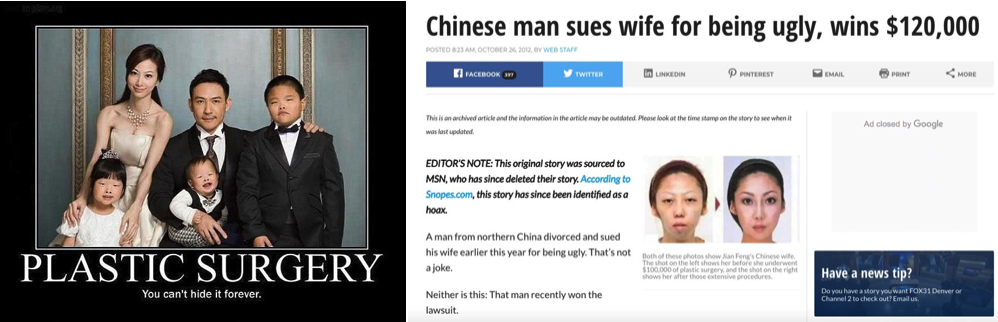 Cô gái trong ảnh mẹ tiên con cú: Sự nghiệp lụi tàn, 4 năm kiện tụng