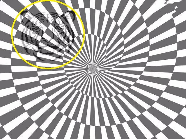 Chỉ 3% người nhìn thấy được bí ẩn trong bức ảnh hại não này