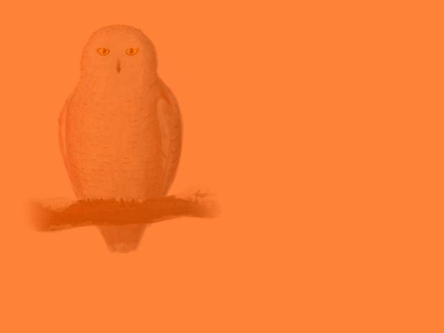 Chỉ 3% người nhìn thấy được bí ẩn trong bức ảnh hại não này