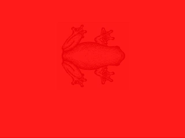 Chỉ 3% người nhìn thấy được bí ẩn trong bức ảnh hại não này