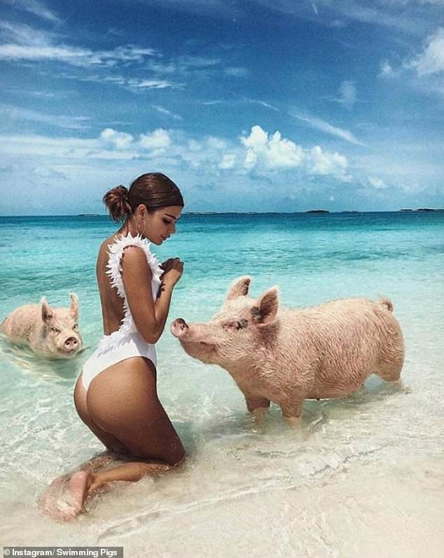 Khi bạn phải cày cuốc trở lại sau kỳ nghỉ lễ thì hội con nhà giàu lại sướng hết phần thiên hạ thế này đây