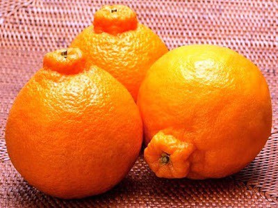 Mâm ngũ quả chưng Tết tiền tỷ của giới nhà giàu Việt Mâm ngũ quả chưng Tết tiền tỷ của giới nhà giàu Việt