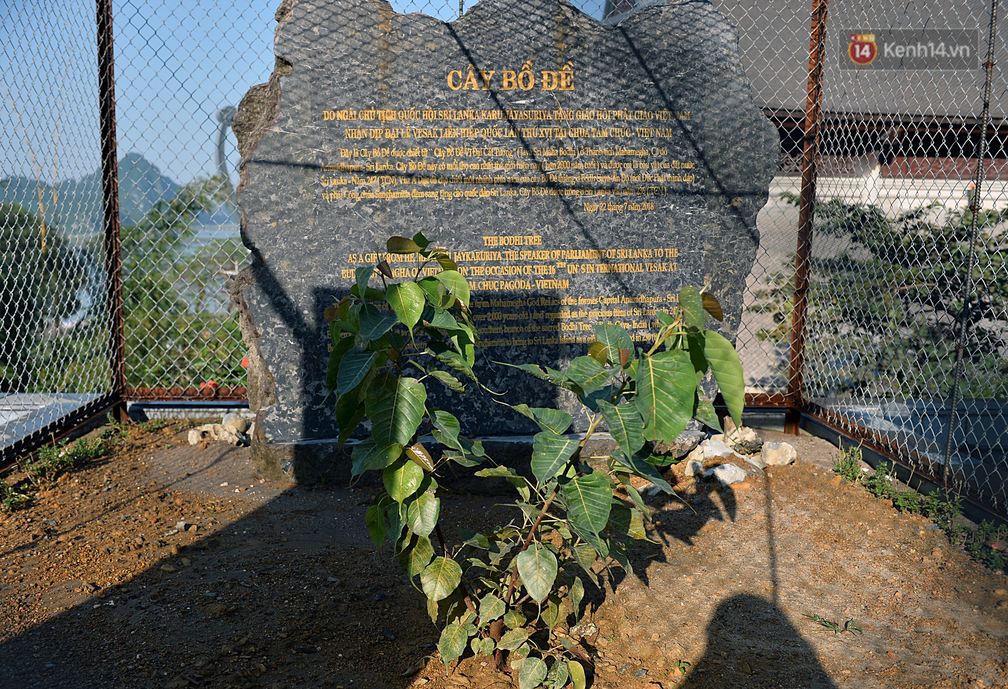 Cận cảnh ngôi chùa lớn nhất Việt Nam - Nơi sẽ đặt báu vật thiên thạch mặt trăng 600.000 USD được đấu giá từ Mỹ