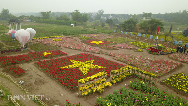 Video ảnh: Ngắm cúp Asian Cup làm từ hàng vạn cây hoa giữa lòng Hà Nội