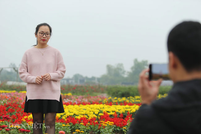 Video ảnh: Ngắm cúp Asian Cup làm từ hàng vạn cây hoa giữa lòng Hà Nội