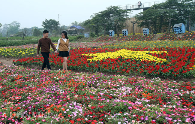 Video ảnh: Ngắm cúp Asian Cup làm từ hàng vạn cây hoa giữa lòng Hà Nội