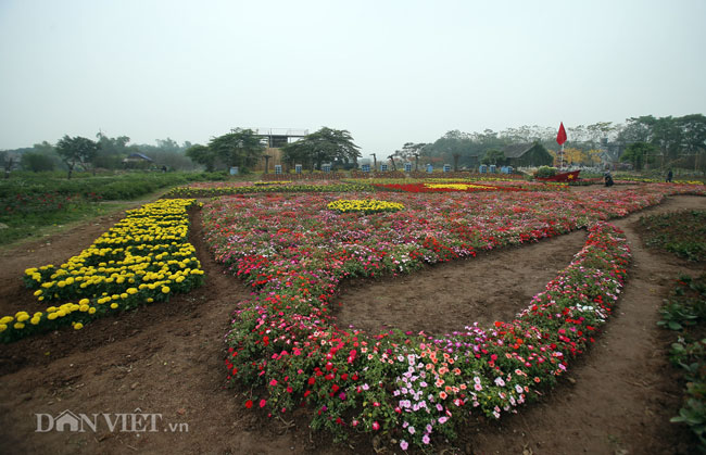 Video ảnh: Ngắm cúp Asian Cup làm từ hàng vạn cây hoa giữa lòng Hà Nội