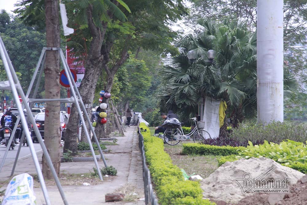 Hà Nội khai tử hàng cây đẹp nhất ven sông Tô Lịch