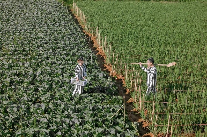 Dân mạng tranh cãi nảy lửa về bộ ảnh cưới với concept tù nhân của cặp vợ chồng trẻ