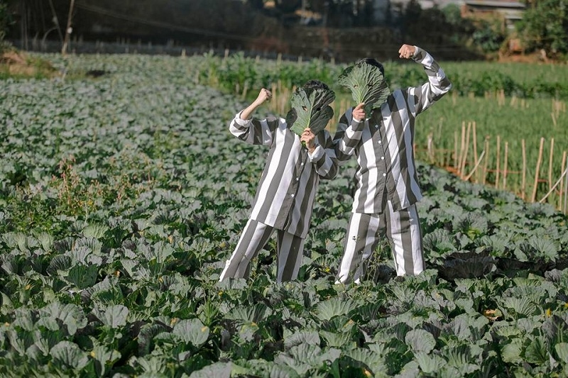 Dân mạng tranh cãi nảy lửa về bộ ảnh cưới với concept tù nhân của cặp vợ chồng trẻ