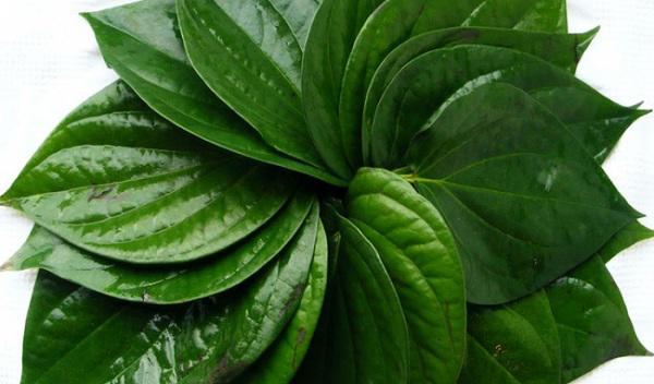 Đắp lá trầu không để được như da em bé, sau 3 năm mặt người phụ nữ như ngáo ộp