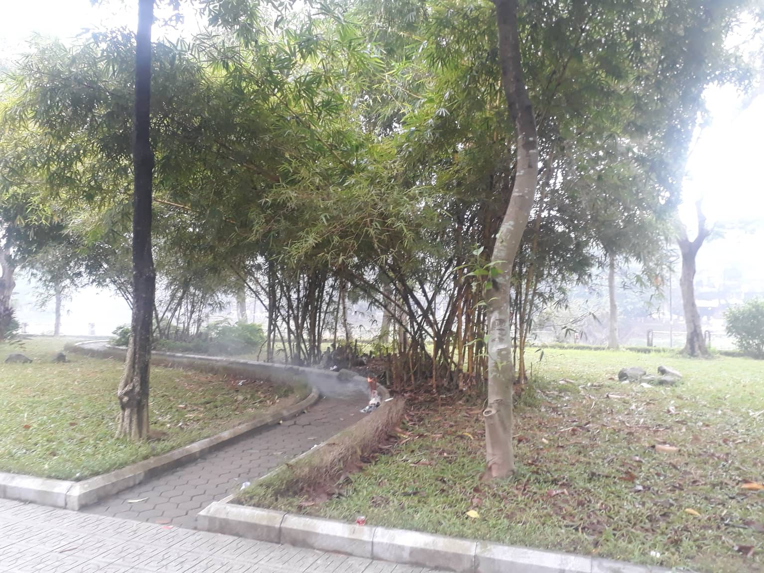 Hà Nội: Phát hiện thi thể nữ giới nằm sấp, không mặc quần trong công viên