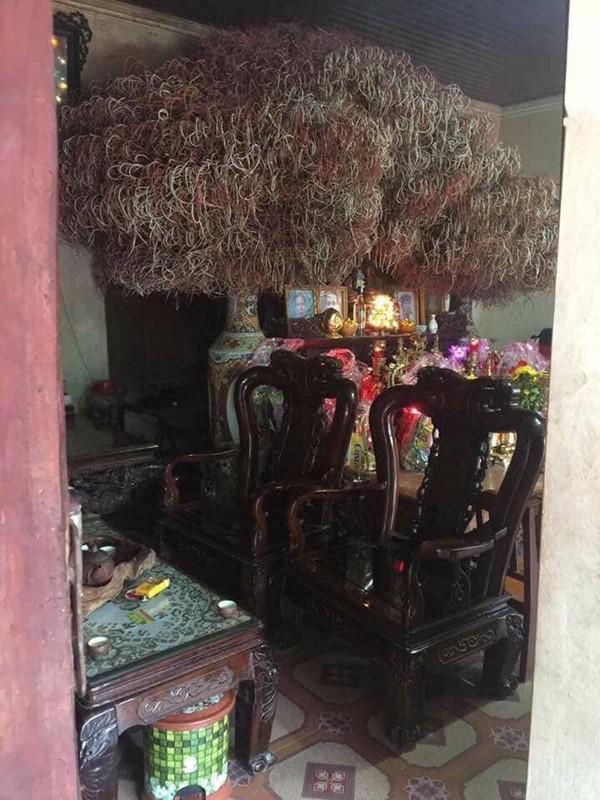 Bát hương ‘cổ thụ’ ai nhìn cũng khen tốt phước, chuyên gia phong thủy thốt lên: Nhầm to Bát hương ‘cổ thụ’ ai nhìn cũng khen tốt phước, chuyên gia phong thủy thốt lên: Nhầm to