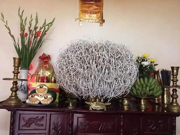 Bát hương ‘cổ thụ’ ai nhìn cũng khen tốt phước, chuyên gia phong thủy thốt lên: Nhầm to Bát hương ‘cổ thụ’ ai nhìn cũng khen tốt phước, chuyên gia phong thủy thốt lên: Nhầm to