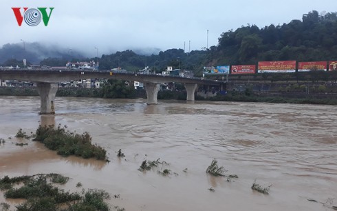 Lào Cai: Sông Hồng xuất hiện lũ lớn chưa từng có giữa mùa đông