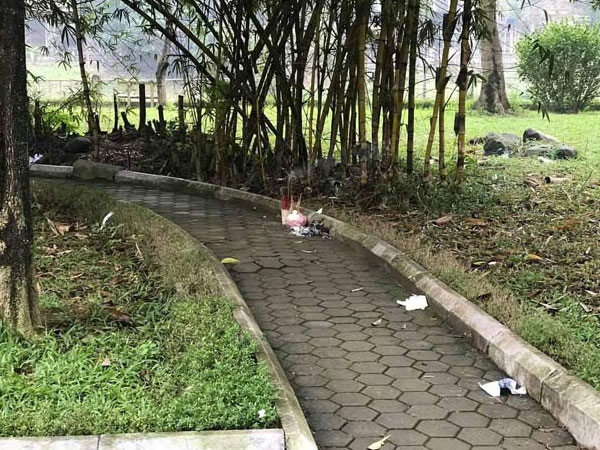 Thông tin mới nhất về vụ một phụ nữ chết bí ẩn trong vườn hoa, thi thể không có quần